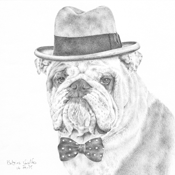 'Winston The Great' Pet Portrait, hand drawn in pencil, commissioned in 2015